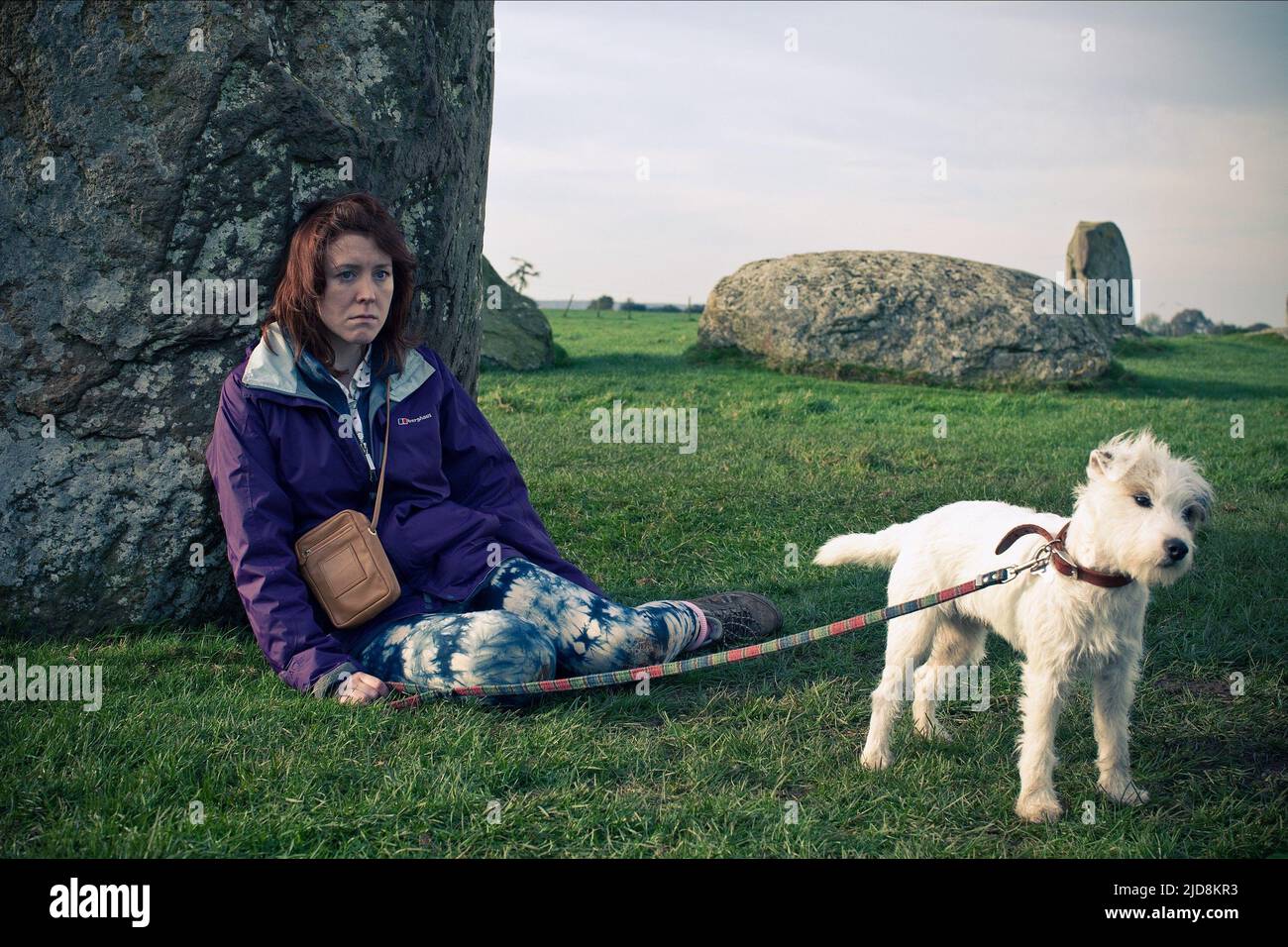 LOWE,CHIEN, AMATEURS DE TOURISME, 2012, Banque D'Images