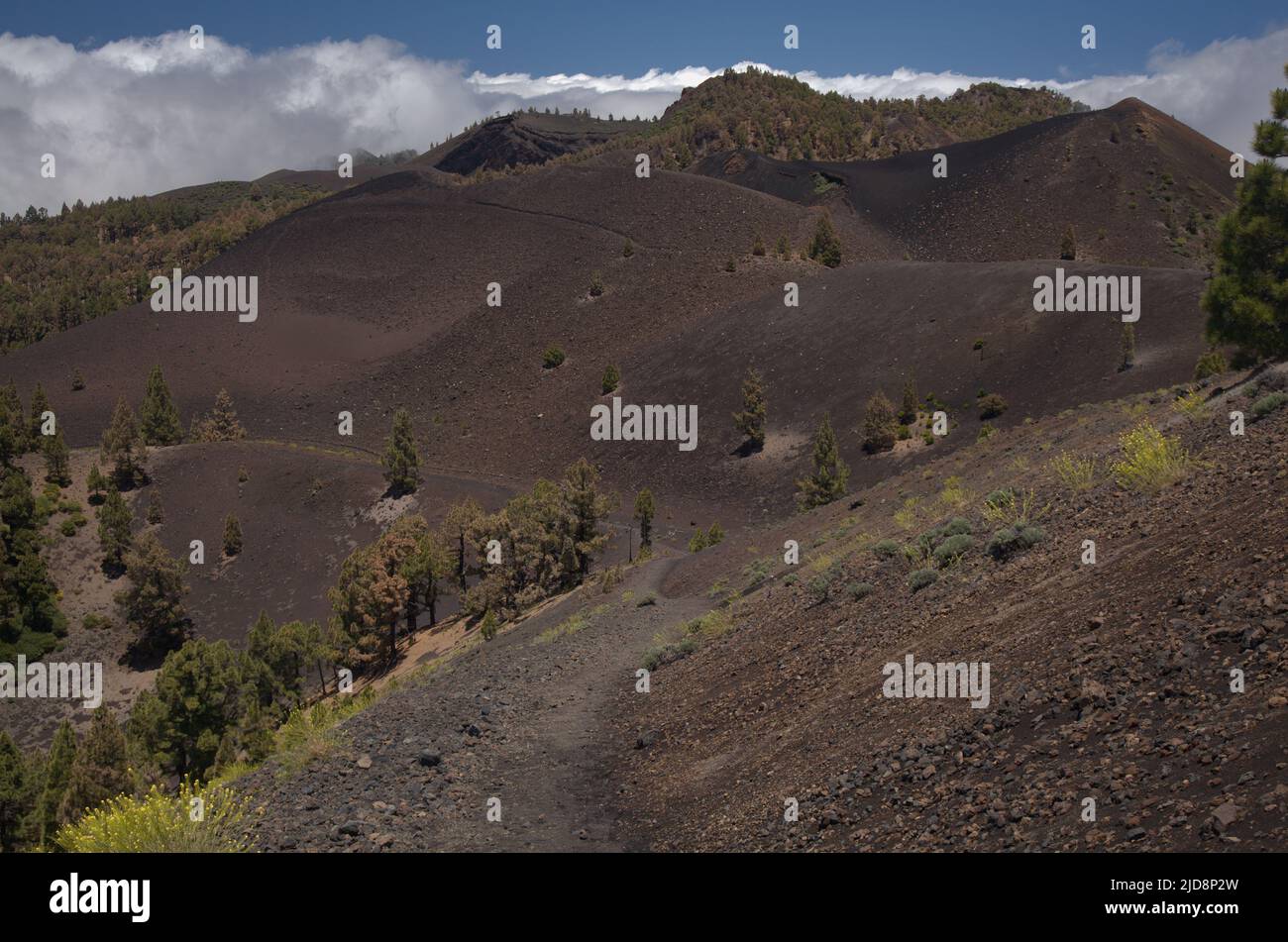 La Palma, paysages le long de la longue route populaire de randonnée ...