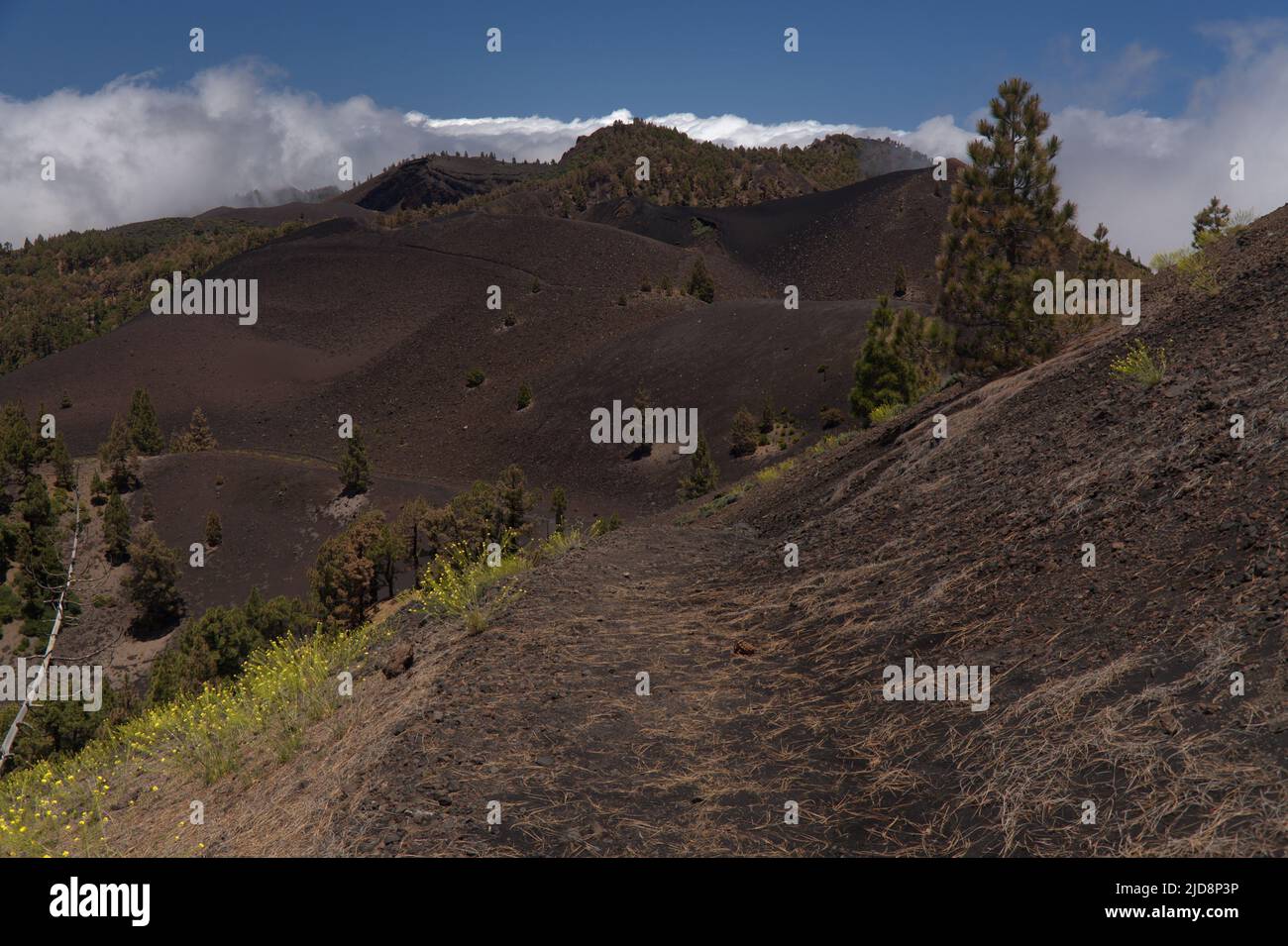 La Palma, paysages le long de la longue route populaire de randonnée ...