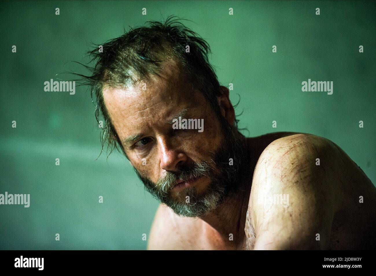 GUY PEARCE, LE ROVER, 2014, Banque D'Images