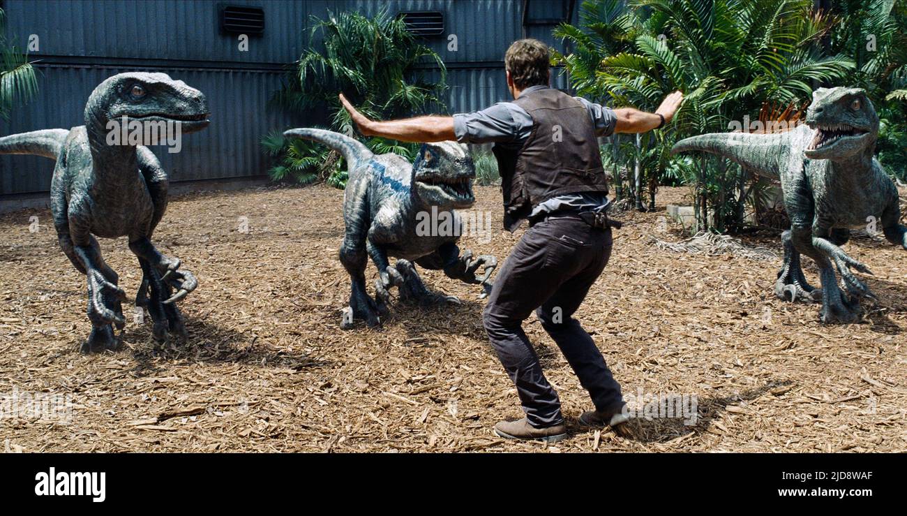 CHRIS PRATT, JURASSIC WORLD, 2015, Banque D'Images