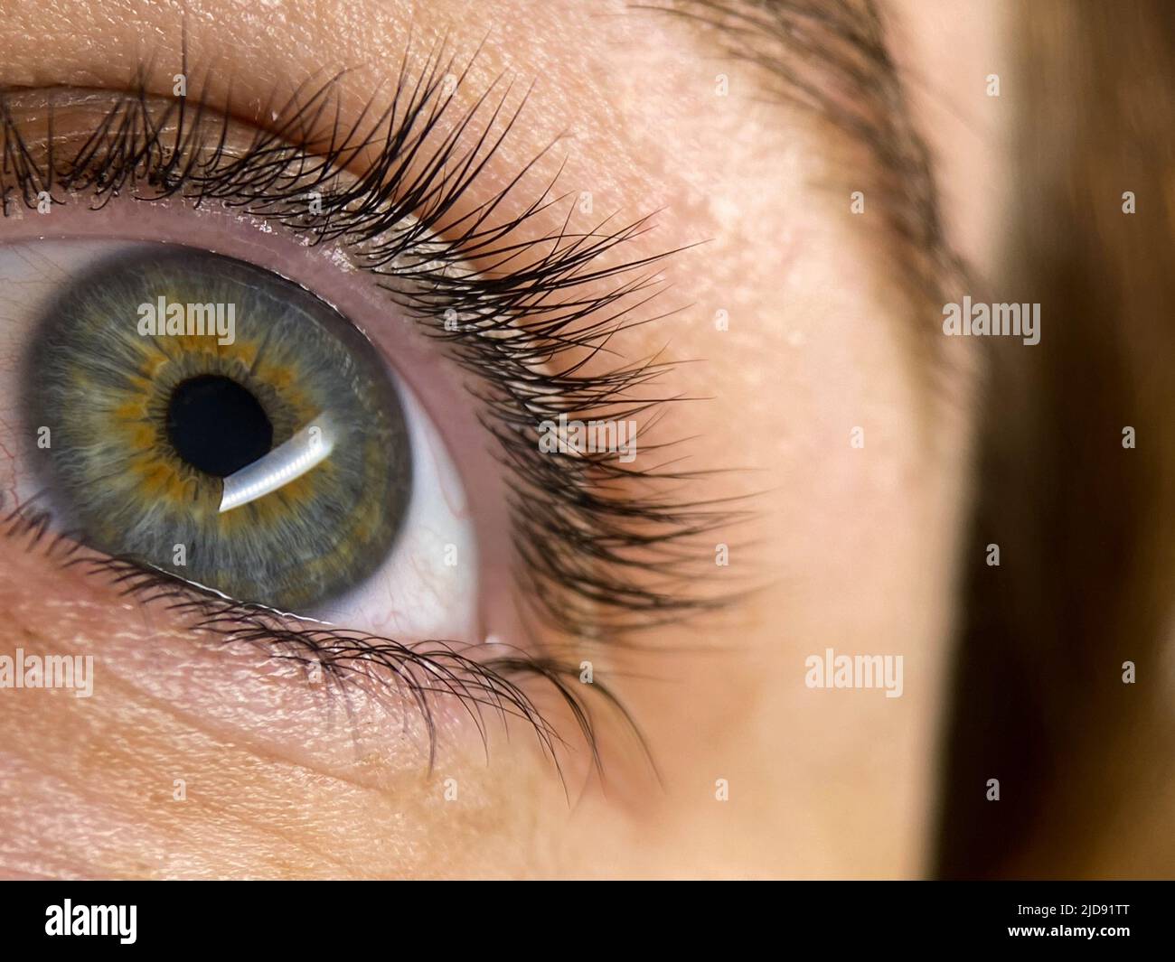 Image macro de la pupille de l'œil. Gros plan des yeux Banque D'Images