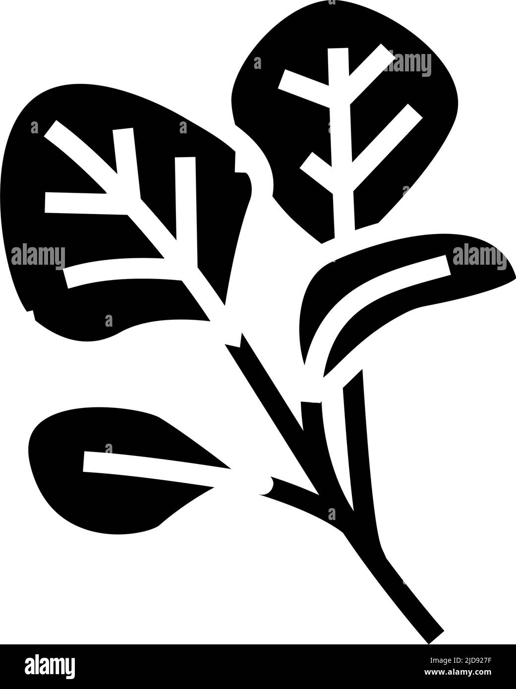 illustration vectorielle d'icône de glyphe d'épinards rouges Illustration de Vecteur