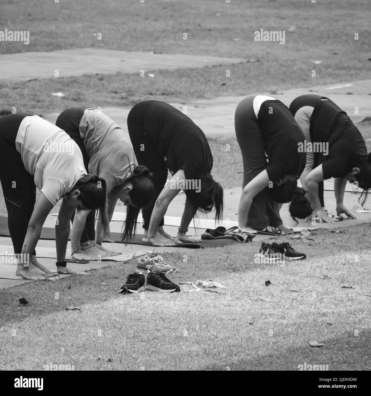 New Delhi, Inde, 18 juin 2022 – cours de yoga de groupe pour les personnes de différents âges dans le parc du jardin Lodhi. Journée internationale de yoga, grand groupe de A. Banque D'Images