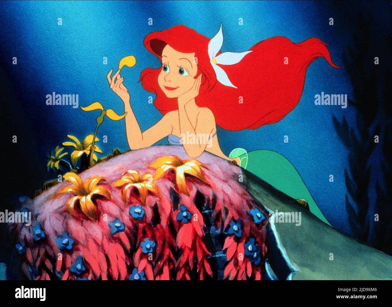 ARIEL, LA PETITE SIRÈNE, 1989, Banque D'Images