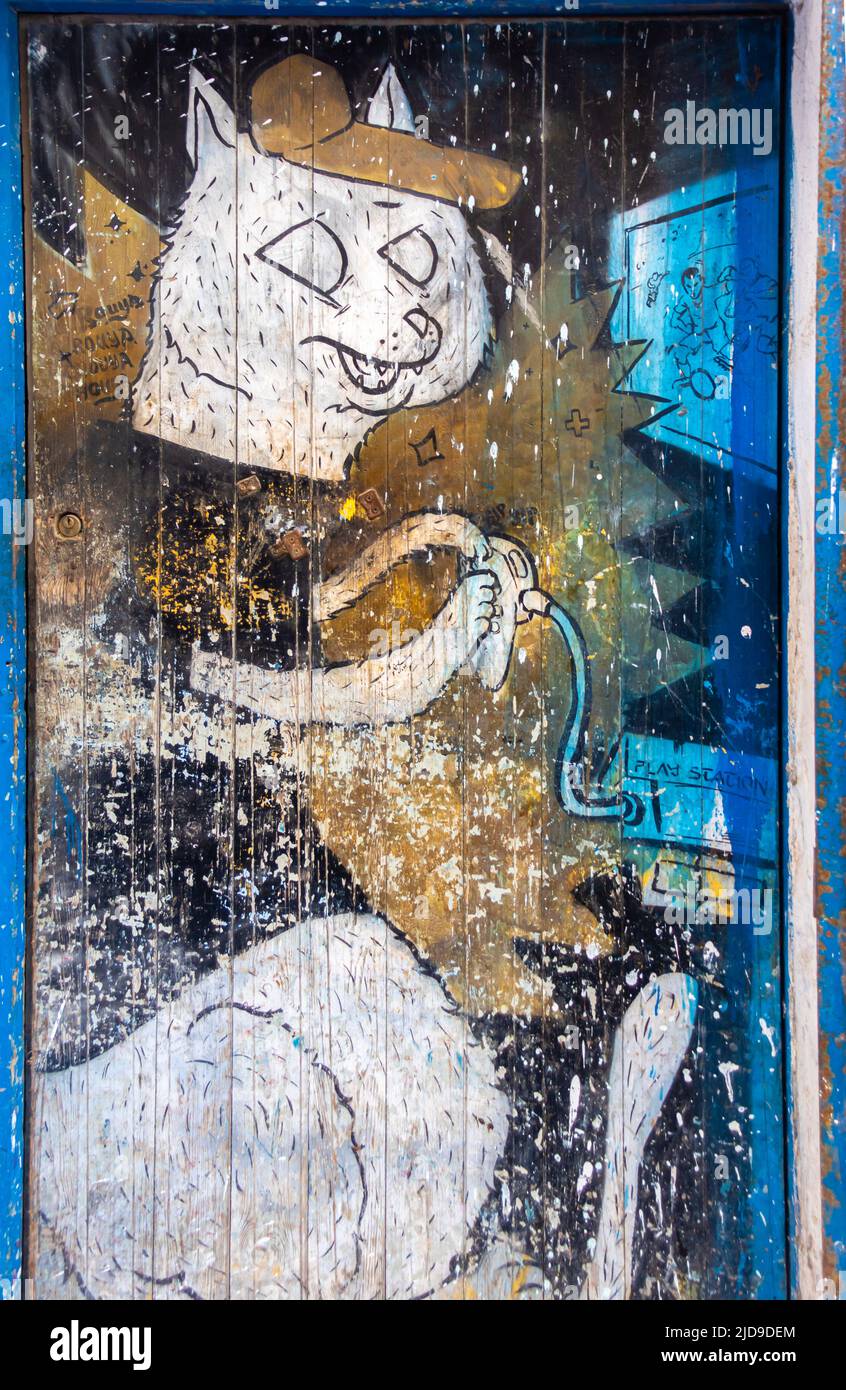 Drôle de décoration de chat peinture sur la fenêtre de porte à Essaouira, Maroc Banque D'Images