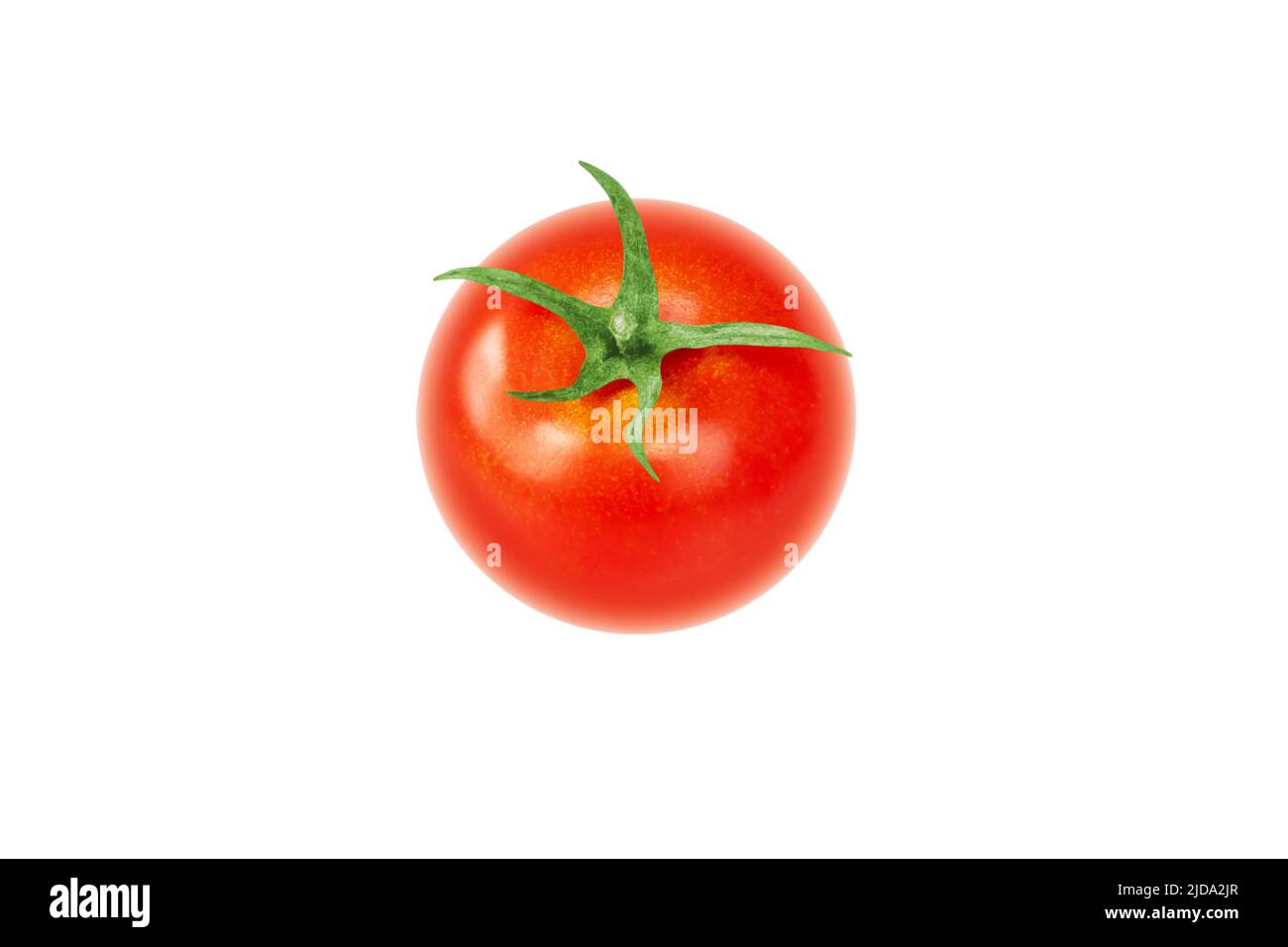 Légume entier de tomate rouge avec queue verte isolée sur blanc. Solanum lycopersicum fruits mûrs. Banque D'Images