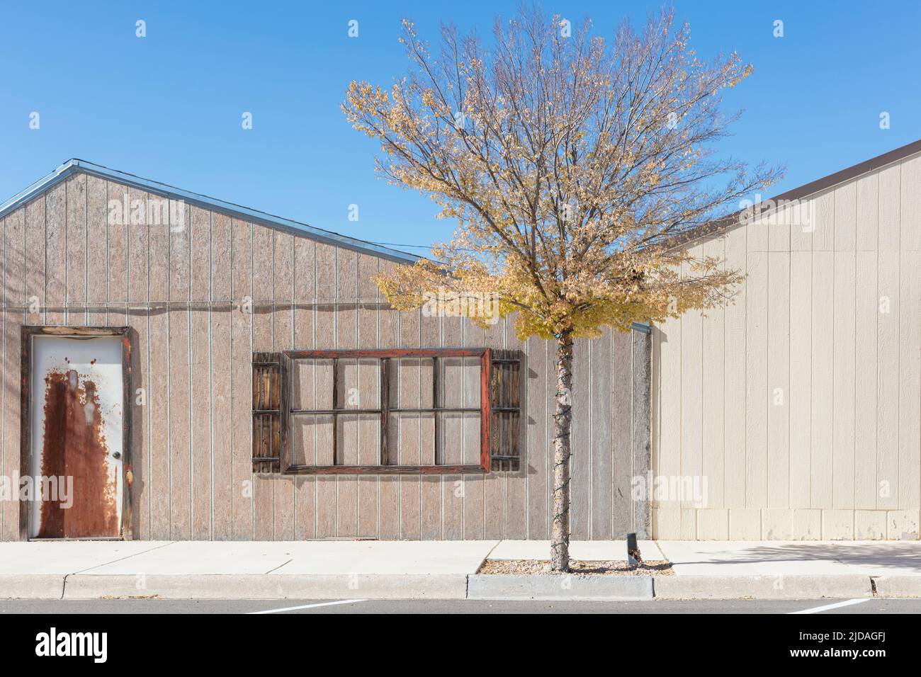 Un arbre en feuilles par des bâtiments bas dans une petite ville. Banque D'Images Un arbre en feuilles par des bâtiments bas dans une petite ville. Banque D'Images