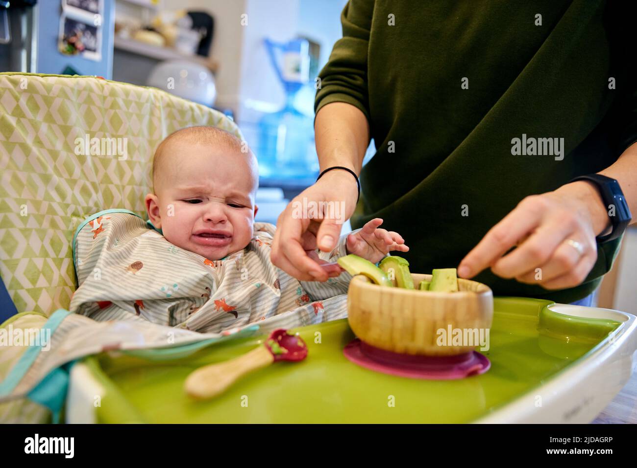 Bébé garçon de six mois assis en chaise haute pleurant que la mère tente de nourrir l'avocat Banque D'Images