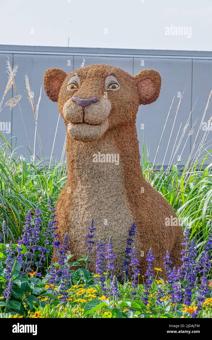 Topiée de caractère NALA exposée à Epcot dans le cadre du festival des fleurs et des jardins Banque D'Images