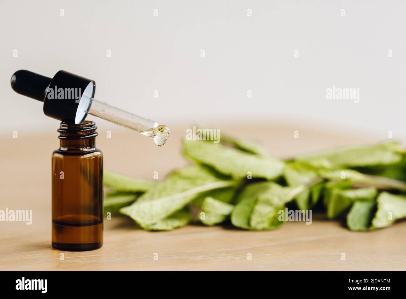 Huile essentielle dans une bouteille et plantes de menthe à la surface. Banque D'Images