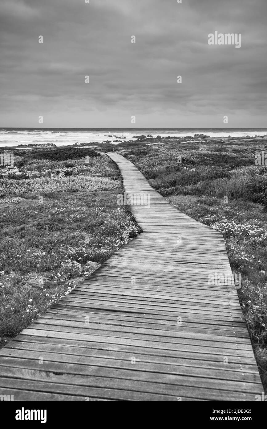 Promenade en bois à travers le moorland menant au rivage rocheux à Cape Agulhas, la pointe la plus méridionale du continent africain et la mar... Banque D'Images