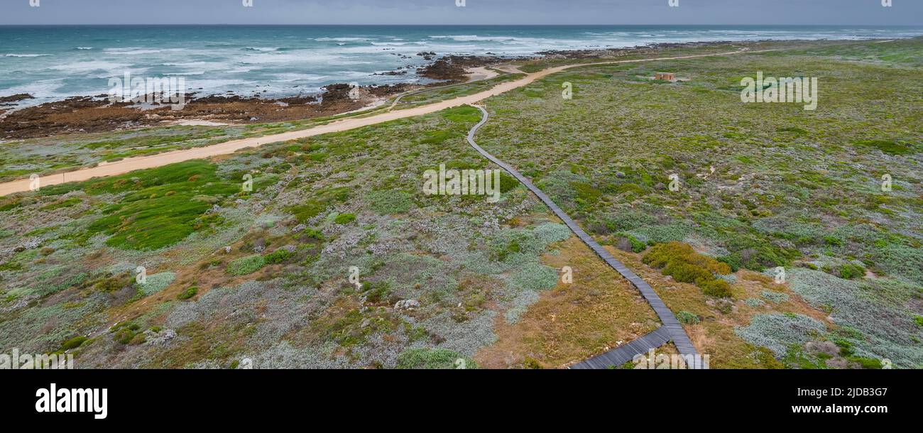 Promenade le long de la rive rocheuse et de la lande au cap Agulhas, le point le plus méridional du continent africain et la frontière maritime de l'Ind... Banque D'Images