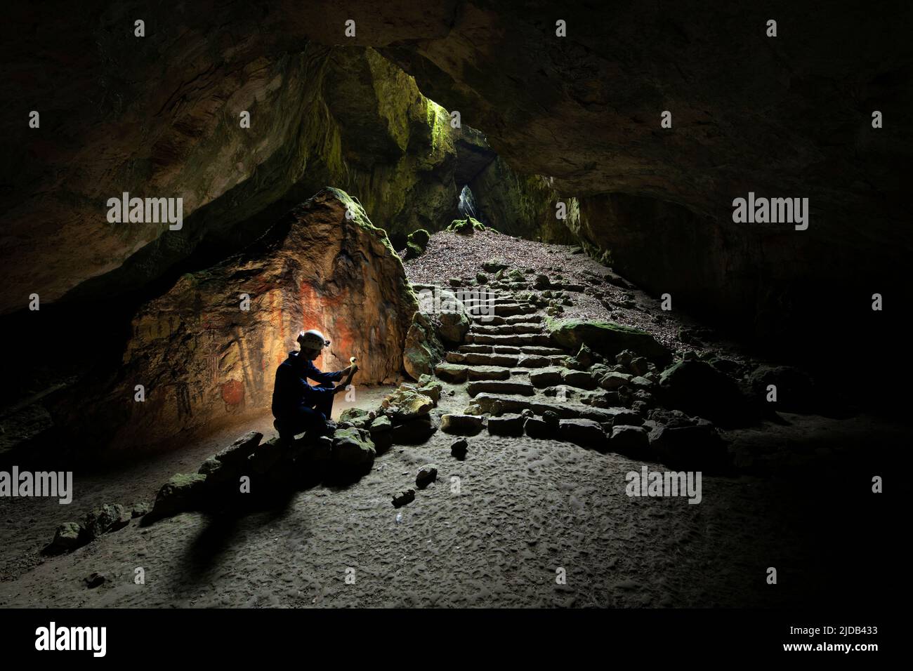 Un assistant de recherche examinant un os à l'intérieur de Unicorn Cave, une grotte historique de spectacle, la plus grande grotte de visiteurs dans la partie ouest des montagnes du Harz... Banque D'Images