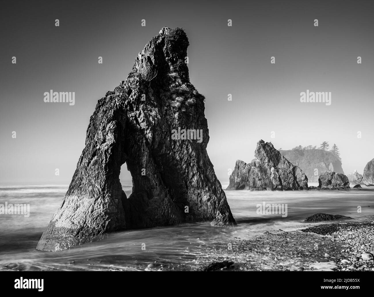 Image en noir et blanc de piles marines et de l'île Abbey à Ruby Beach dans le parc national olympique, sur la côte de Washington Banque D'Images
