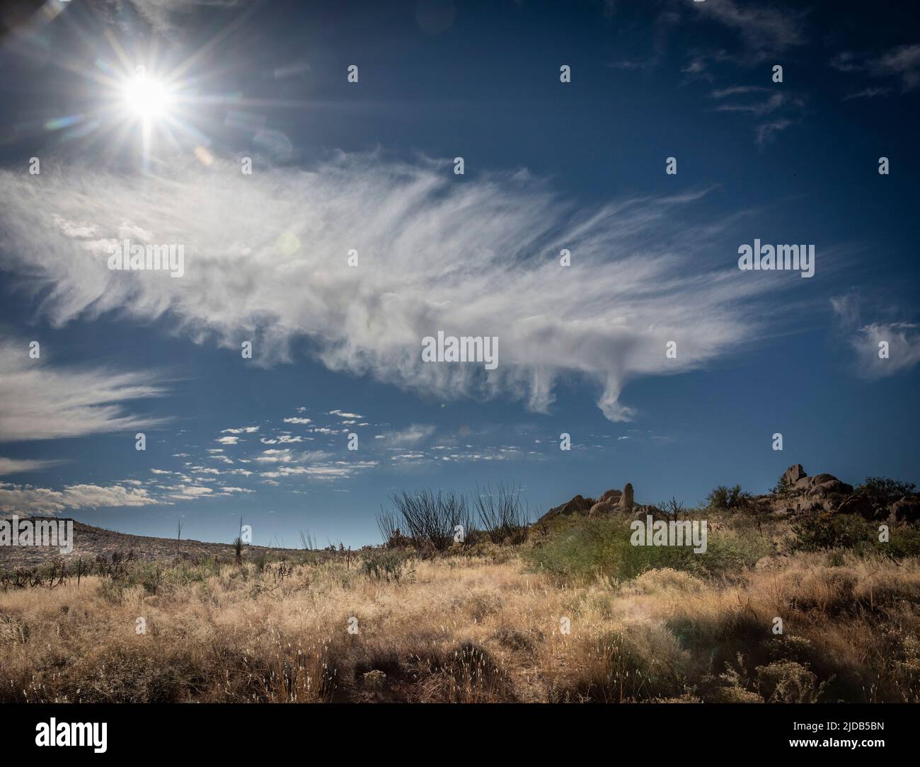 Nuage de plumes dans le ciel de l'Arizona. Les nuages de cirrus sont parfois appelés « nuages de plumes » ou « queues de juments ». Ils sont composés de glace hexagonale c... Banque D'Images