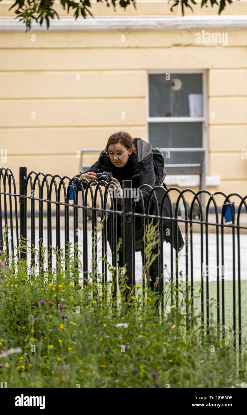 Dublin, Irlande - 2 juin 2022 : un touriste qui prend des photos des magnifiques fleurs sauvages de l'université Trinity de Dublin, Irlande Banque D'Images