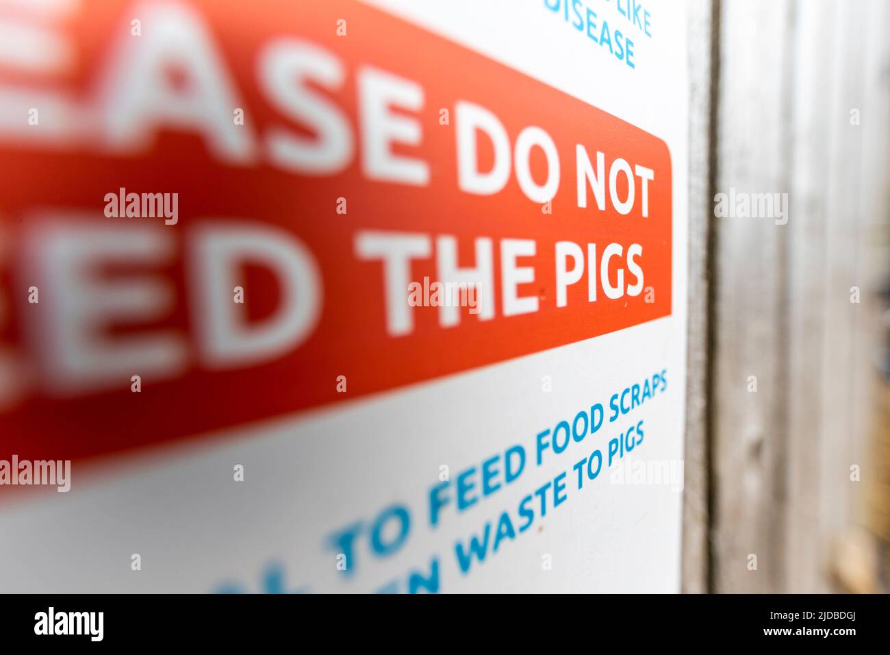 Ne pas nourrir les porcs sur une ferme partiellement ouverte au public. Humble par nature. Banque D'Images