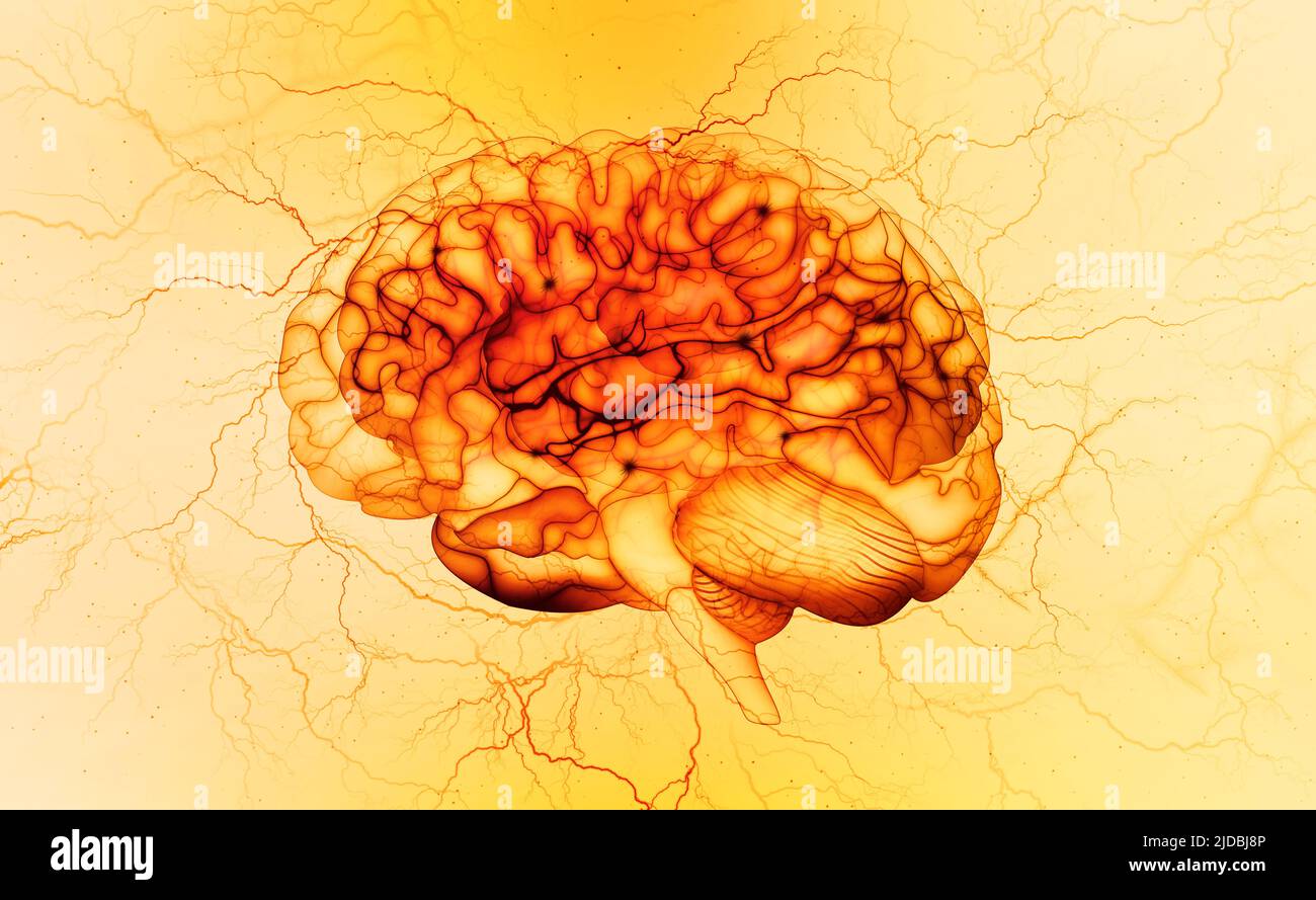 Rayon X du cerveau, impulsion électrique, brainstorming. Esprit et intelligence d'une personne. 3D illustration. Terminaisons nerveuses et réseau neuronal du cerveau humain Banque D'Images