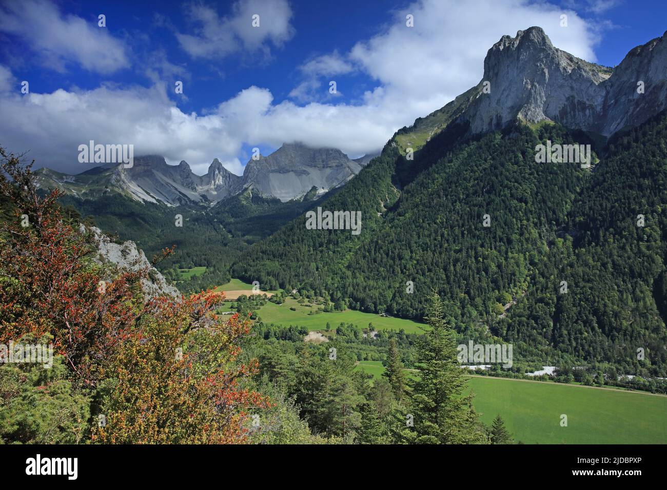 France, Drôme lus-la-Croix-haute, vallon de la Jarjatte, massif du Vercors, pays du Buëch région naturelle de France Banque D'Images