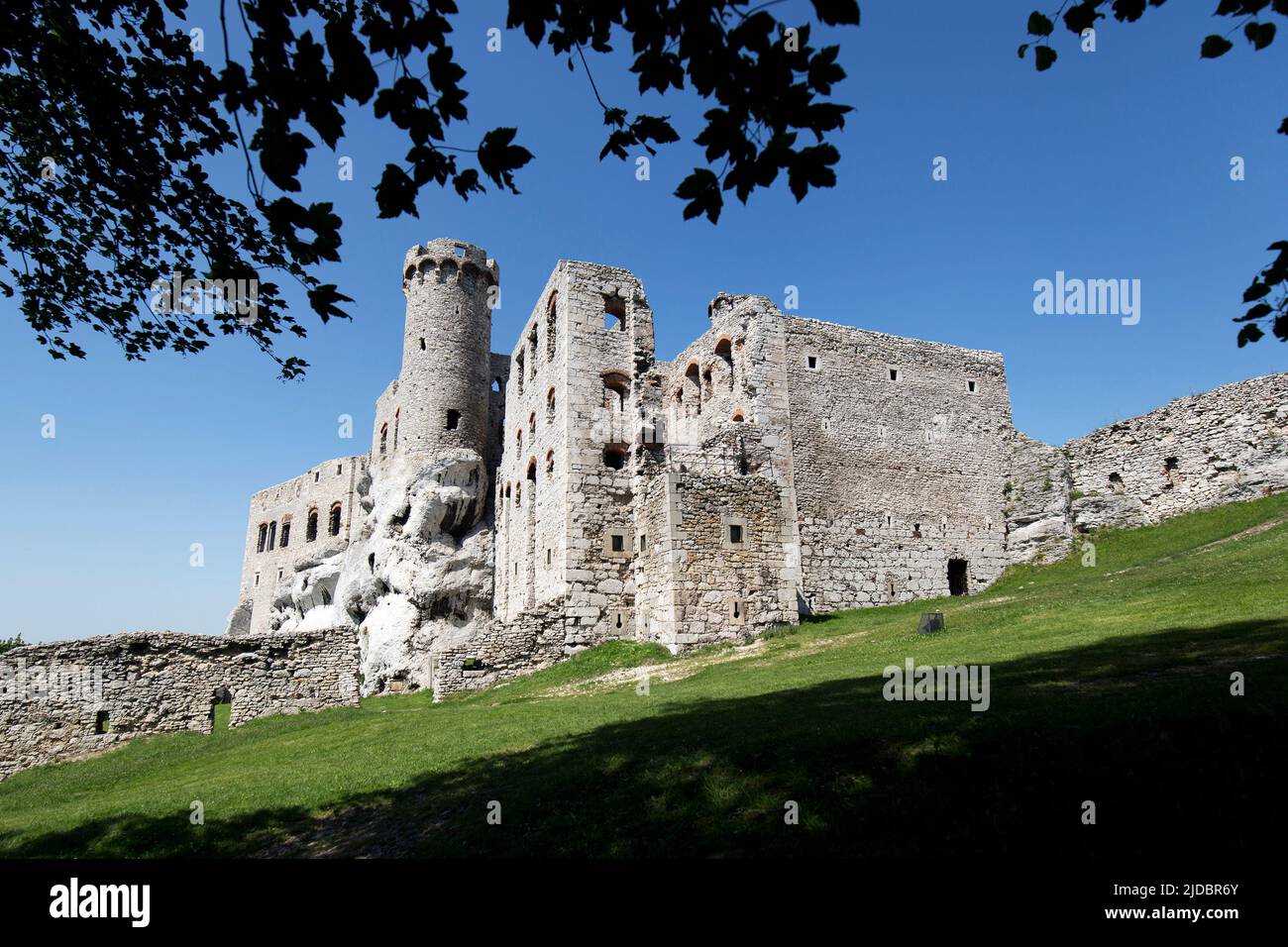 Ruines du château d'Ogrodzieniec en Pologne Banque D'Images