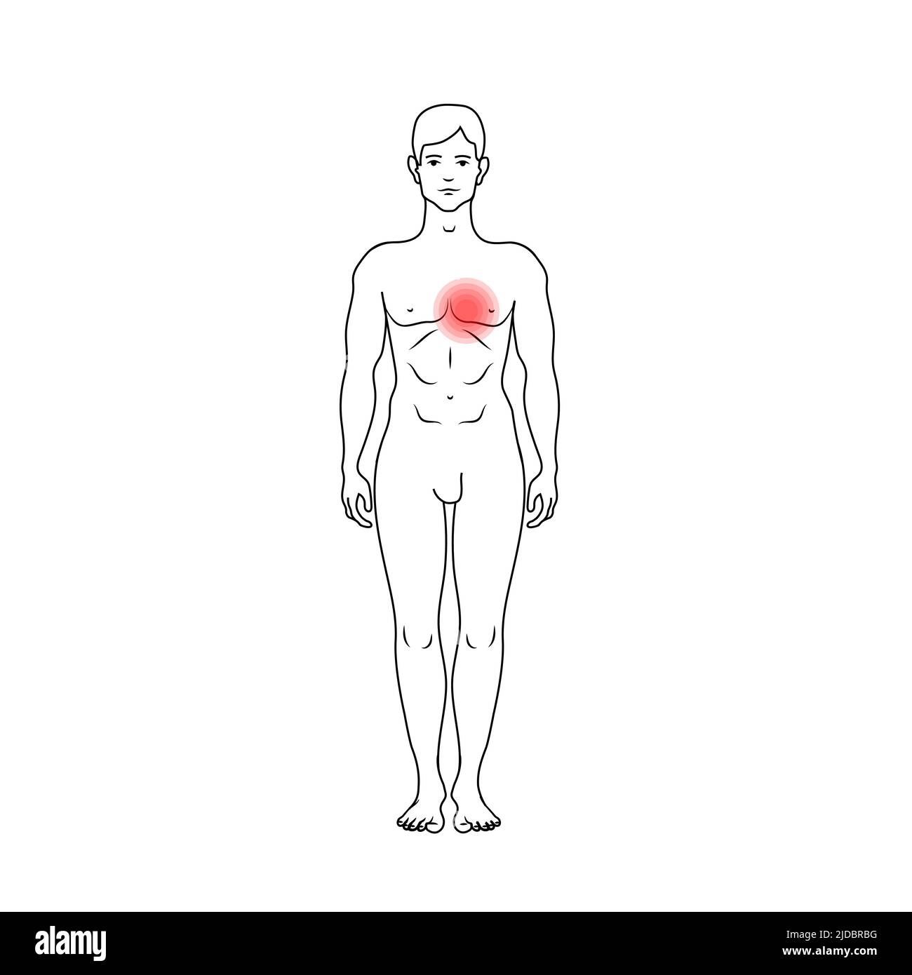 Douleur cardiaque marque rouge sur silhouette de contour noir du corps des hommes, modèle anatomique détaillé en vue de face isolé sur blanc Illustration de Vecteur