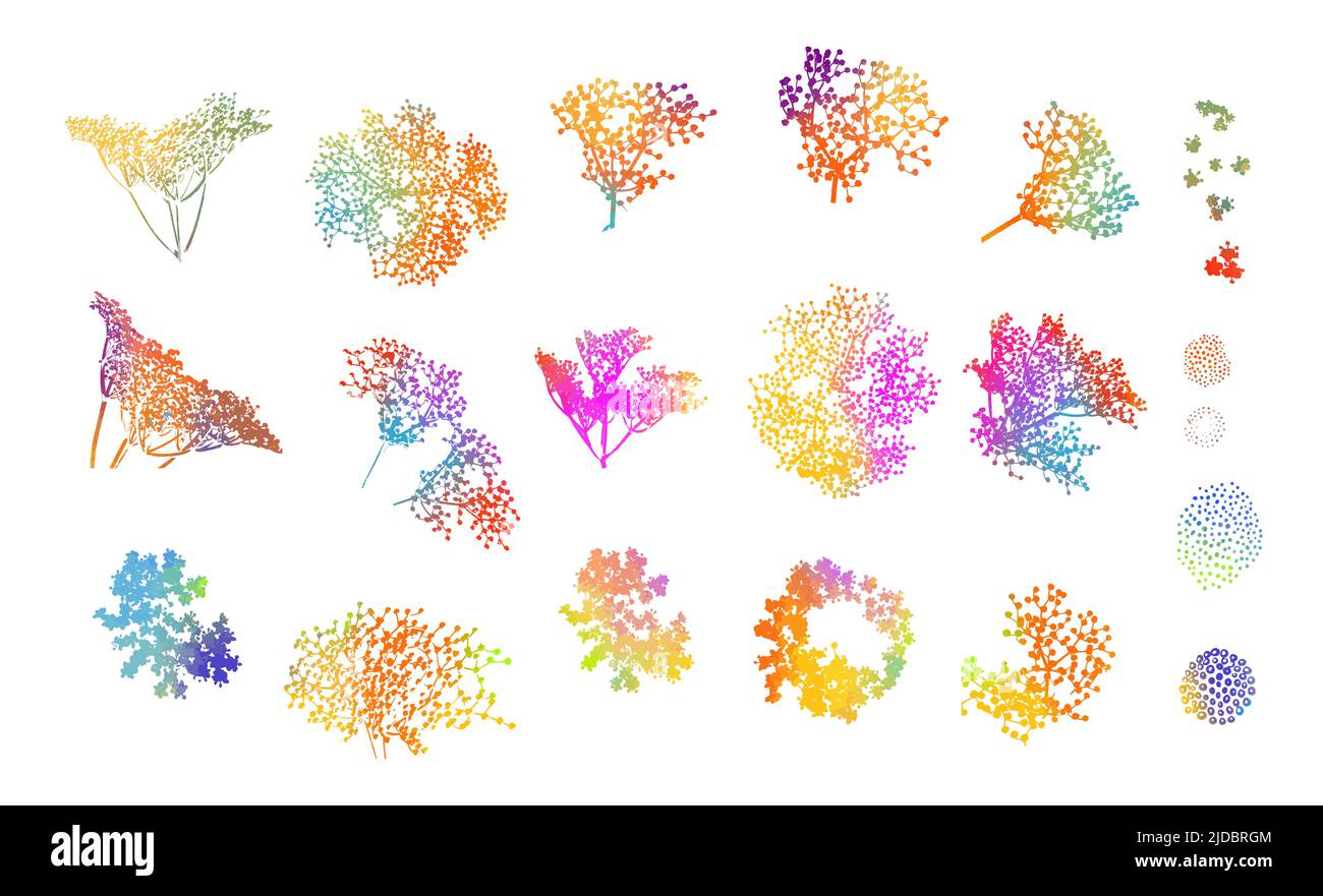 Un ensemble de fleurs multicolores de l'arc-en-ciel. Illustration vectorielle Illustration de Vecteur