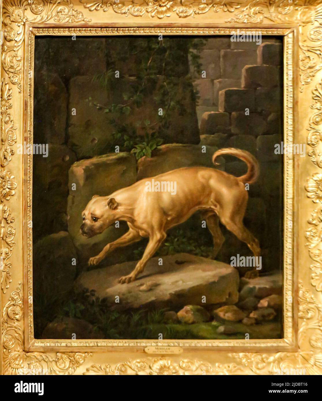 Musée de la chasse - Paris. Peinture par Carle VERNET (1758-1836) Banque D'Images