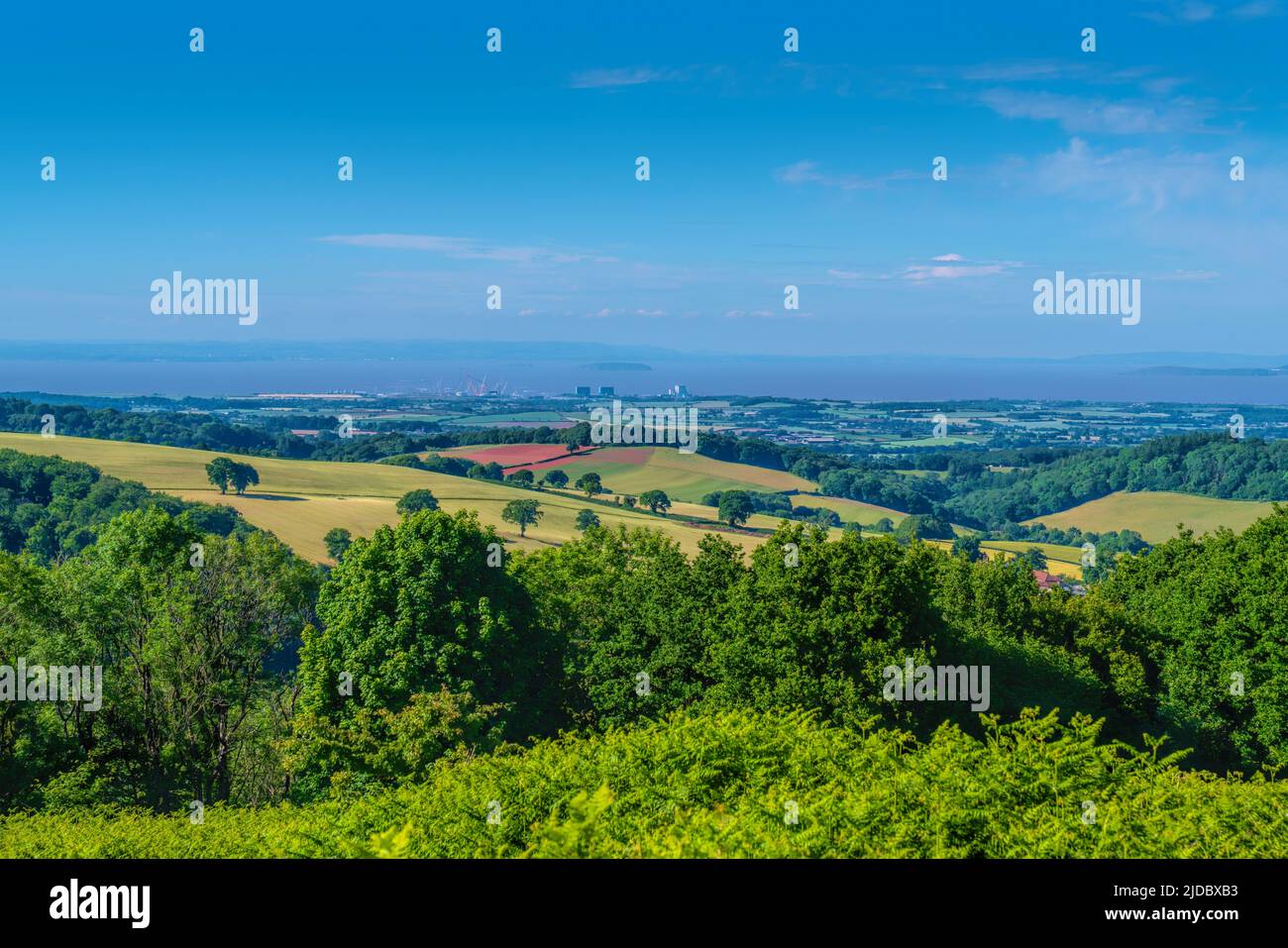 La campagne du Somerset fait des arbres jusqu'à Hinkley point et Bristol Channel England UK depuis les Quantocks Banque D'Images