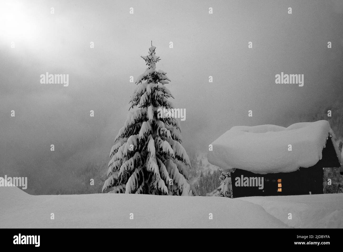 France, haute-Savoie Chalet avec sapin sous la neige, atmosphère avec brouillard, photo en noir et blanc Banque D'Images