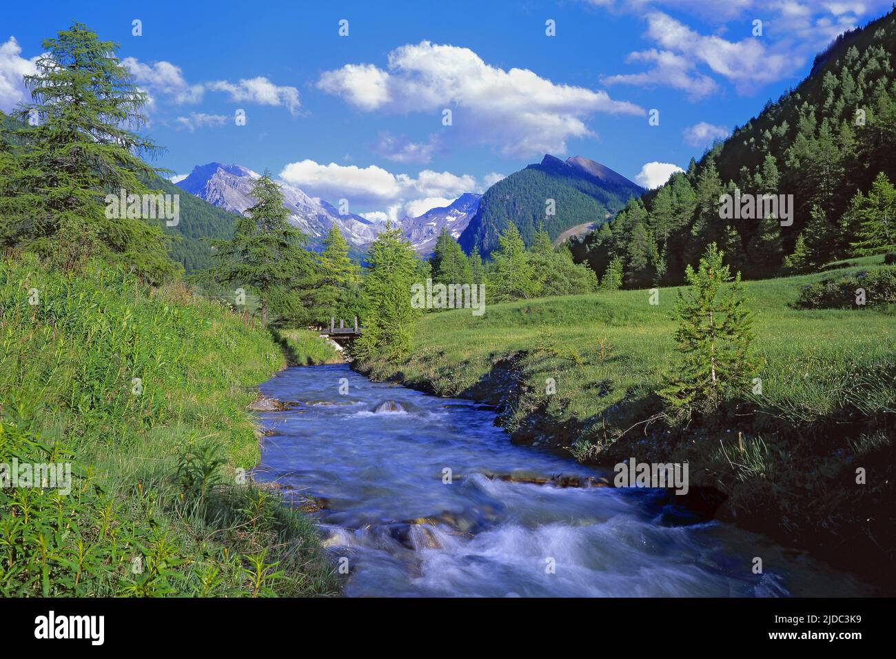 France, Hautes-Alpes, Parc naturel régional du Queyras, paysage de montagne avec torrent Banque D'Images