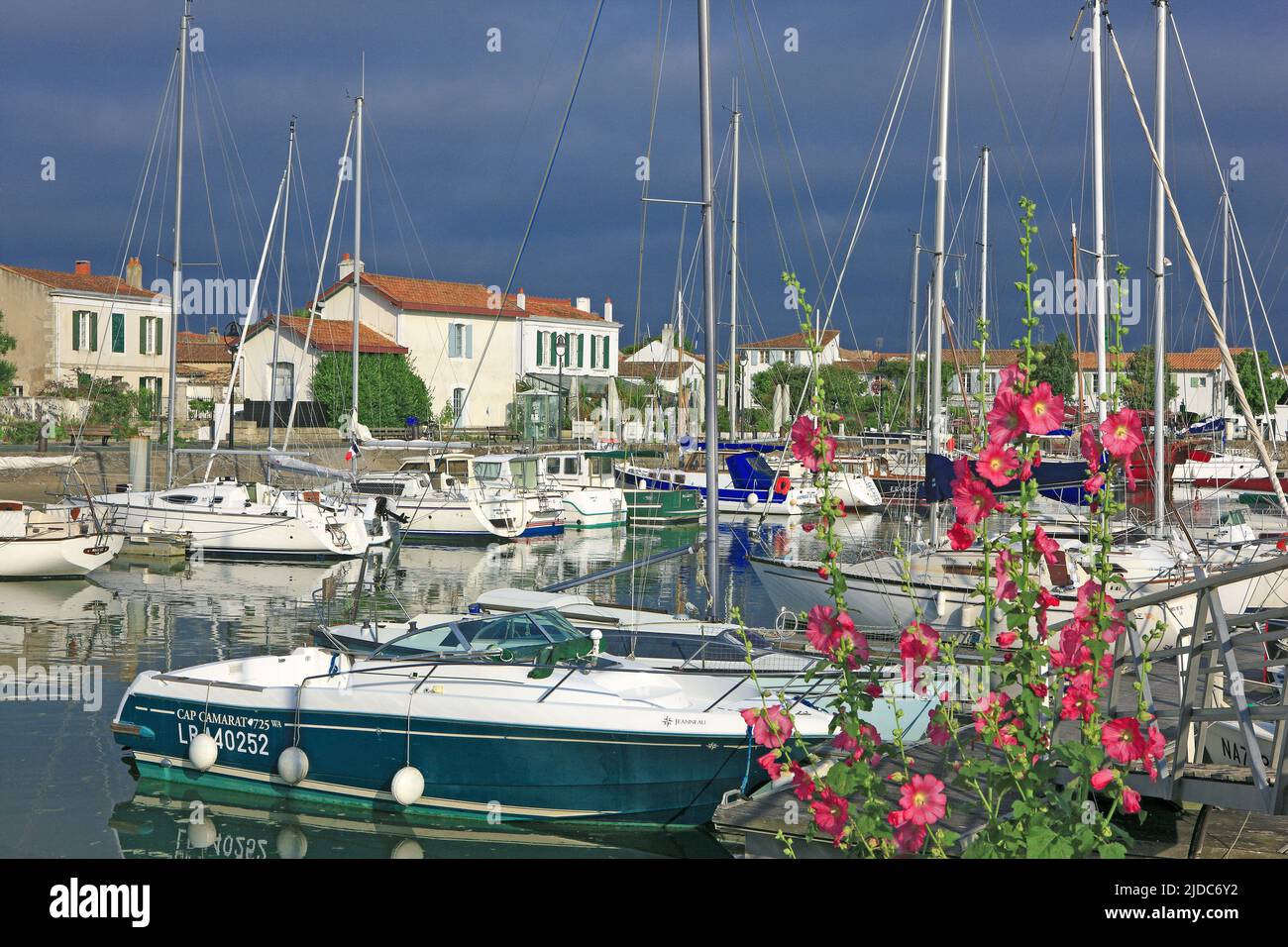 France, Charente-Maritime, Ars-en-Ré, le port, village classé Banque D'Images