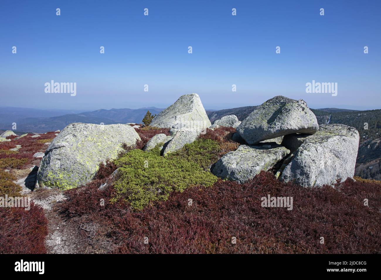 France, Lozère Mont-Lozère, les montagnes couvertes de chaos de granit, Parc National des Cévennes Banque D'Images