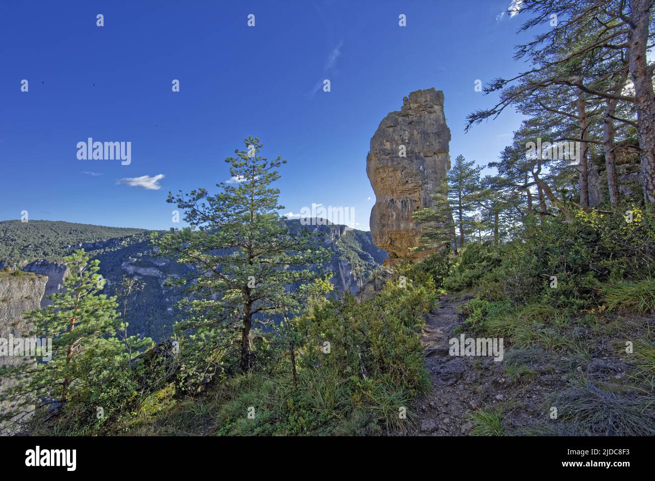 France, Aveyron le Rosier, paysage des de la Jonte, falaises et