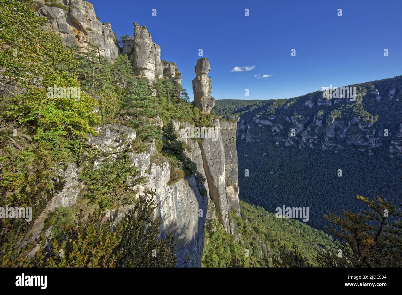 France, Aveyron le Rosier, paysage des de la Jonte, falaises et