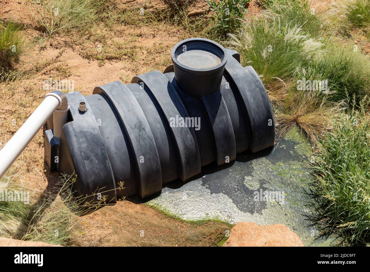 Fosse septique en plastique noir partiellement enfouie dans le sol. Le réservoir fuit de l'eau sale polluée dans le sol à côté. Algues vertes Banque D'Images