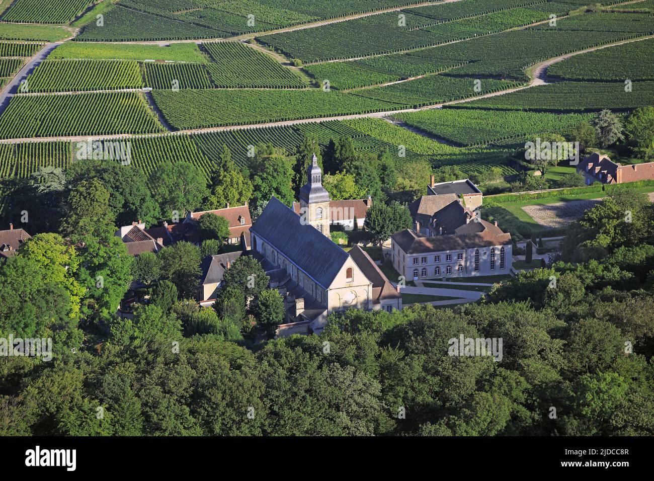 France, Marne, Hautvillers village de vignobles de Champagne, près d'Epernay, il se penche contre la table la montagne de Reims, tombe du moine Dom Perignon enterré dans la nef de l'abbaye. (photo aérienne) Banque D'Images