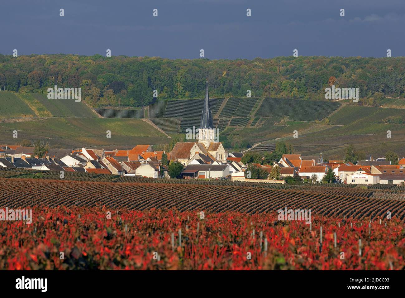 France, Marne Chamery village vignoble de la montagne de Reims Banque D'Images