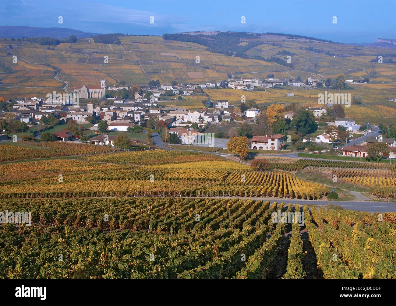 France, Saône-et-Loire Pouilly-Fuissé, le village du vignoble en automne Banque D'Images