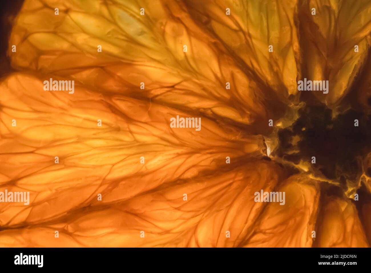 Texture macro de couleur abstraite d'agrumes. Banque D'Images