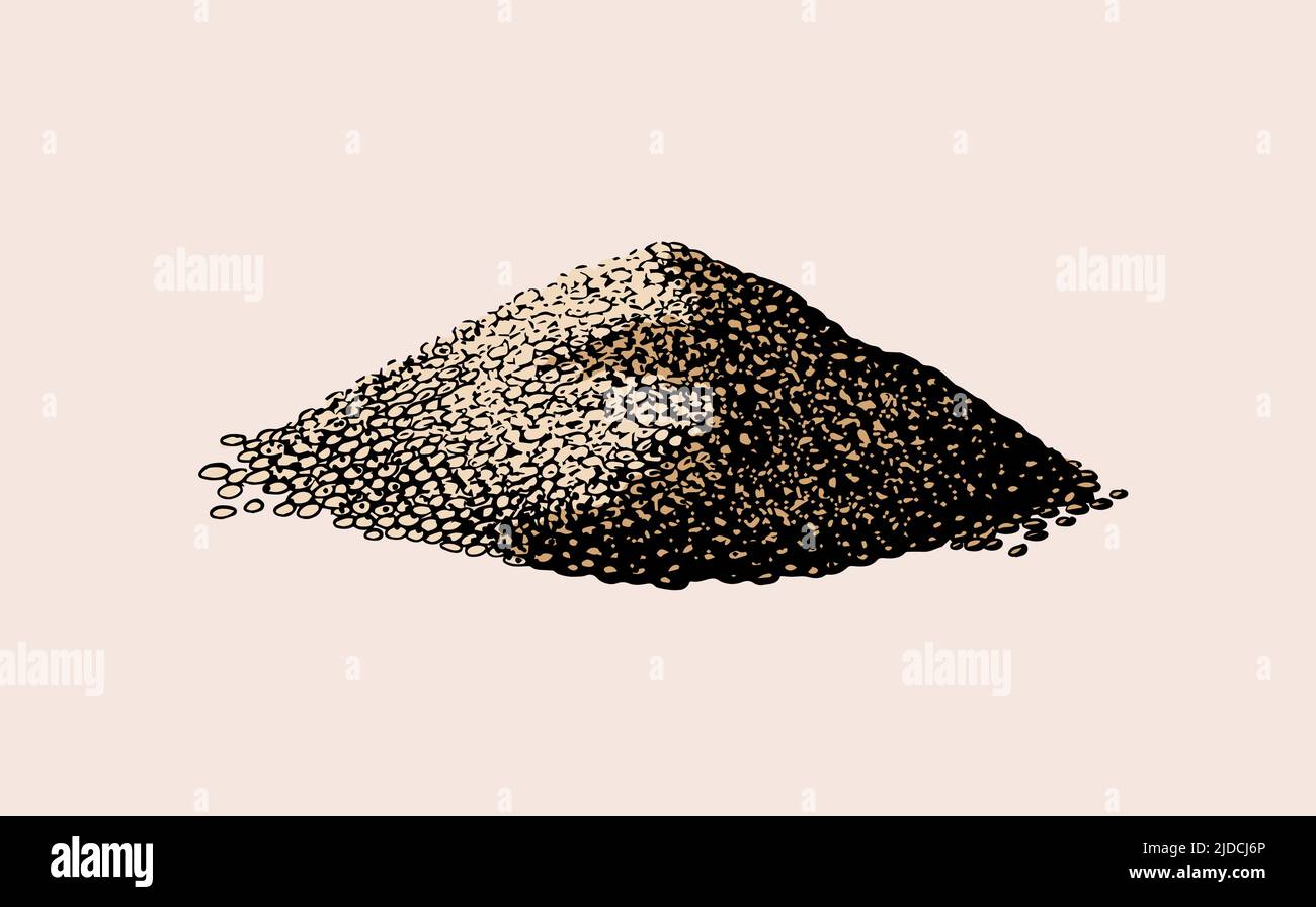 Piles de graines de Chia.Salvia hispanica.Épices ou condiment ou aromatisant ou granule ou grain.Gravé à la main, dessiné dans un ancien croquis et de style vintage. Illustration de Vecteur