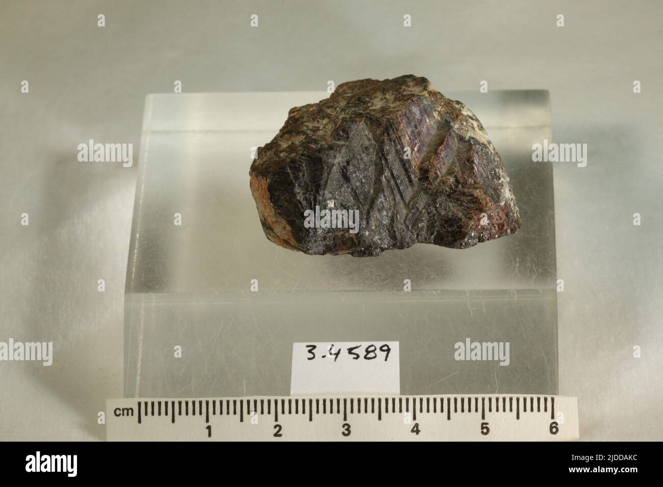 Minéraux tantalite. Amérique du Sud; Brésil Banque D'Images