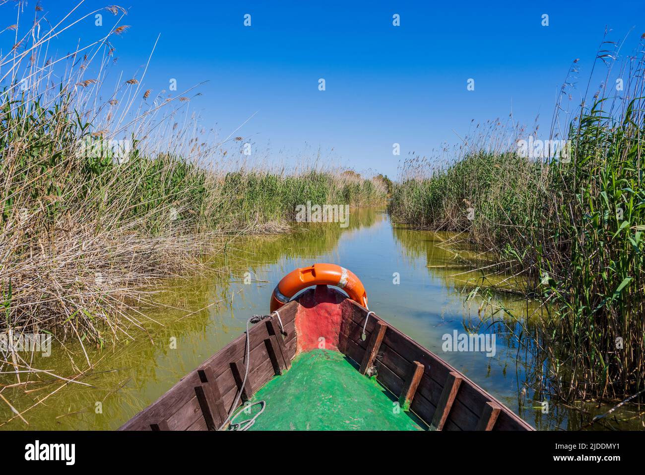 Canal d'eau, Parc naturel d'Albufera, El Palmar, Communauté Valencienne, Espagne Banque D'Images