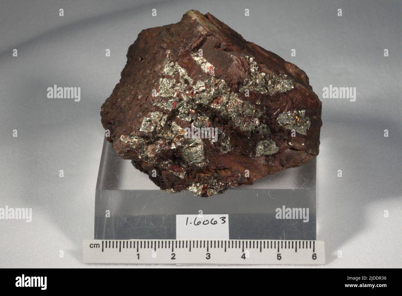 Minéraux de pyrite. Amérique du Nord; Canada; Nouvelle-Écosse; comté d'Antigonish; Copper Lake, Mine de cuivre Lake Banque D'Images