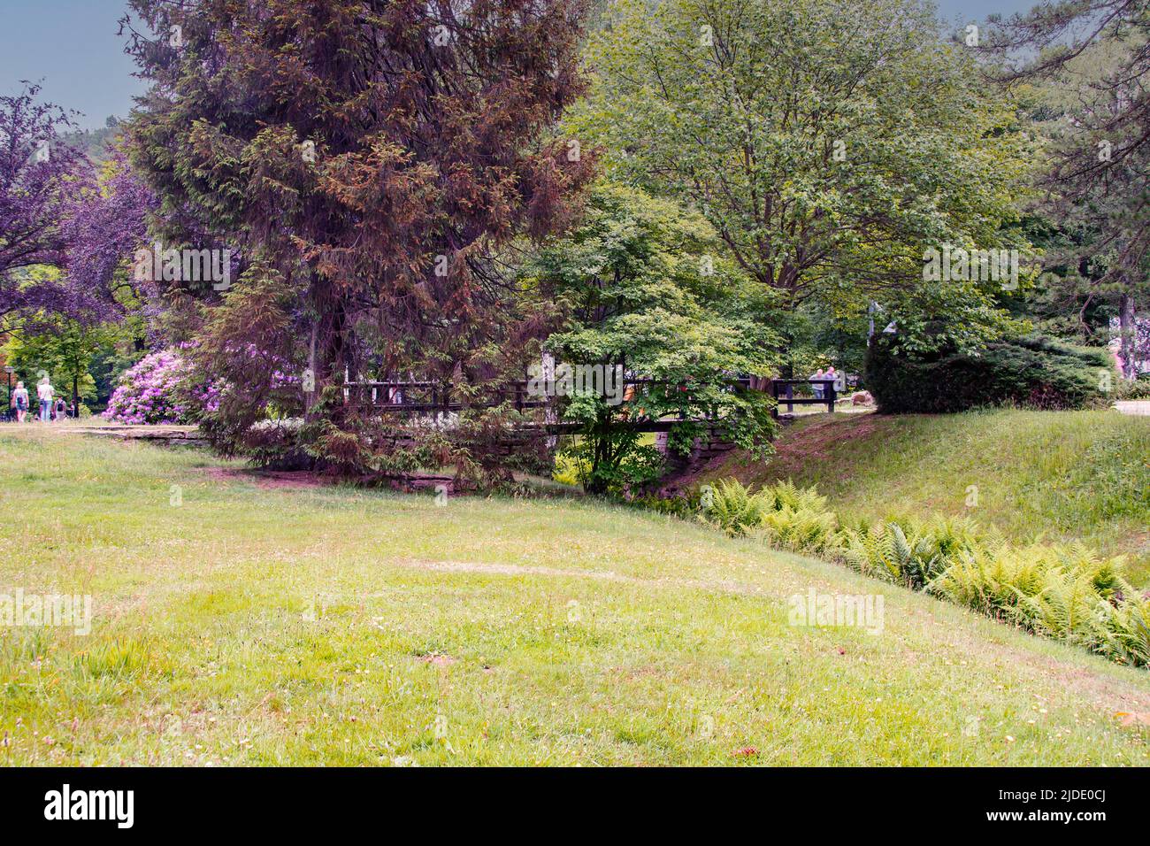 Kourgäste Ruhe und Erholung finden Banque D'Images Kourgäste Ruhe und Erholung finden Banque D'Images