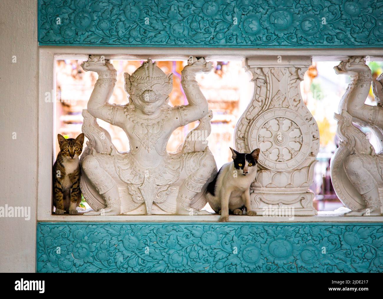 Temple Wat Klang Bang Kaeo ou Wat Klang Bang Kaew à Nakhon Pathom, Thaïlande Banque D'Images