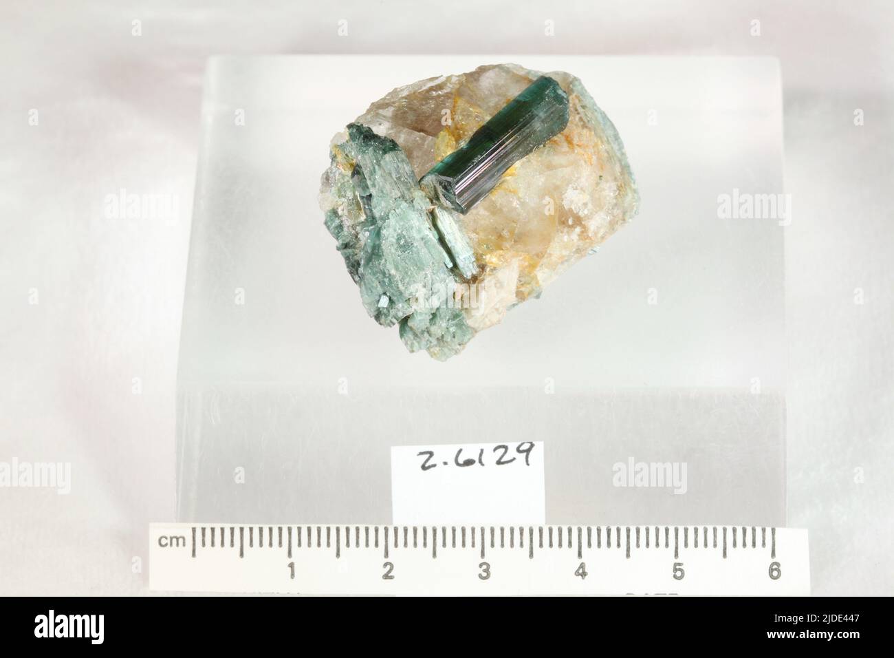 Minéraux tourmaline. Amérique du Nord ; États-Unis ; Maine ; comté d'Oxford ; Paris ; Mt. MICA Banque D'Images