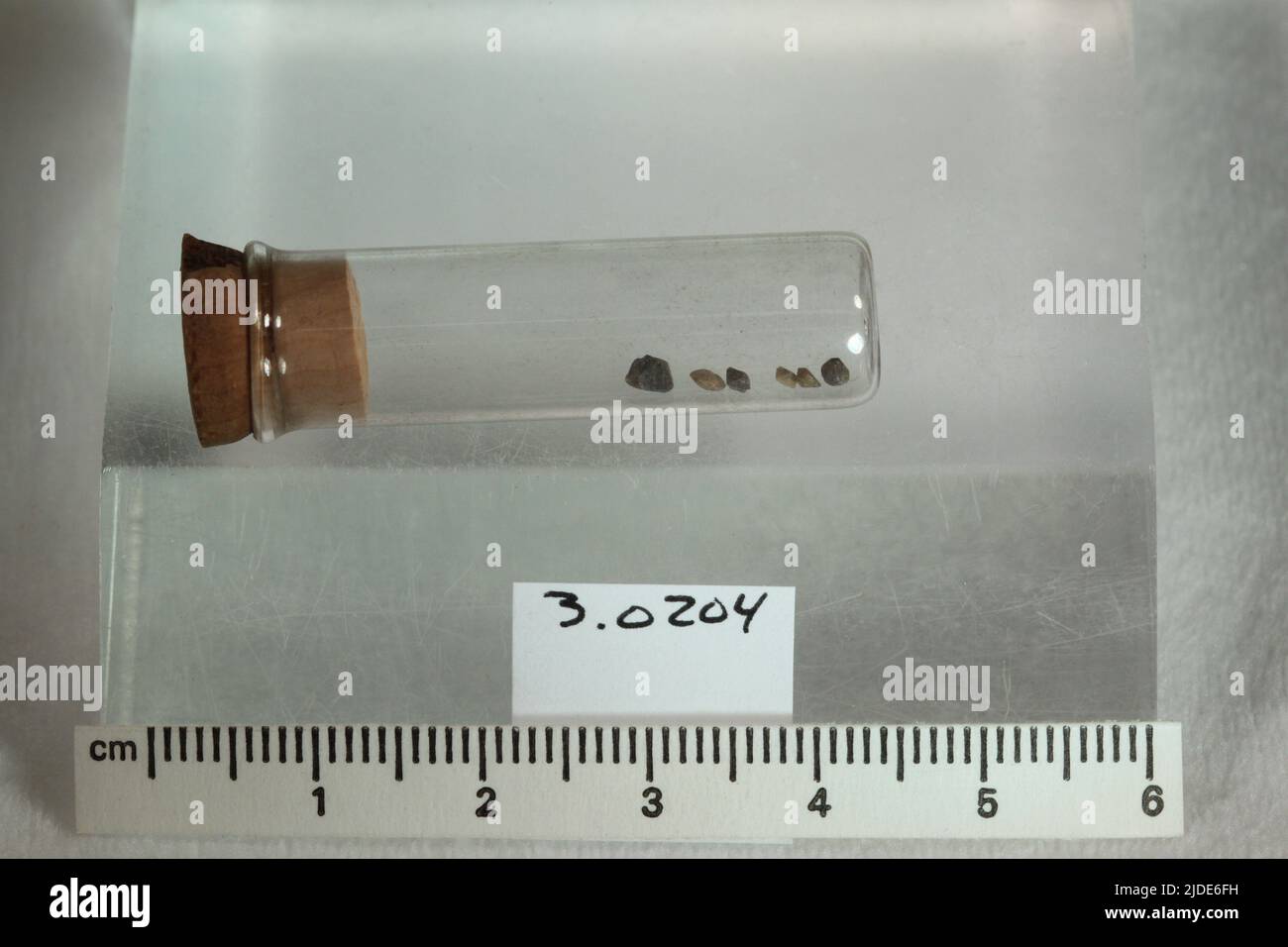 Minéraux xenotime. Amérique du Nord; États-Unis; Géorgie; Comté de Habersham; Clarkesville Banque D'Images