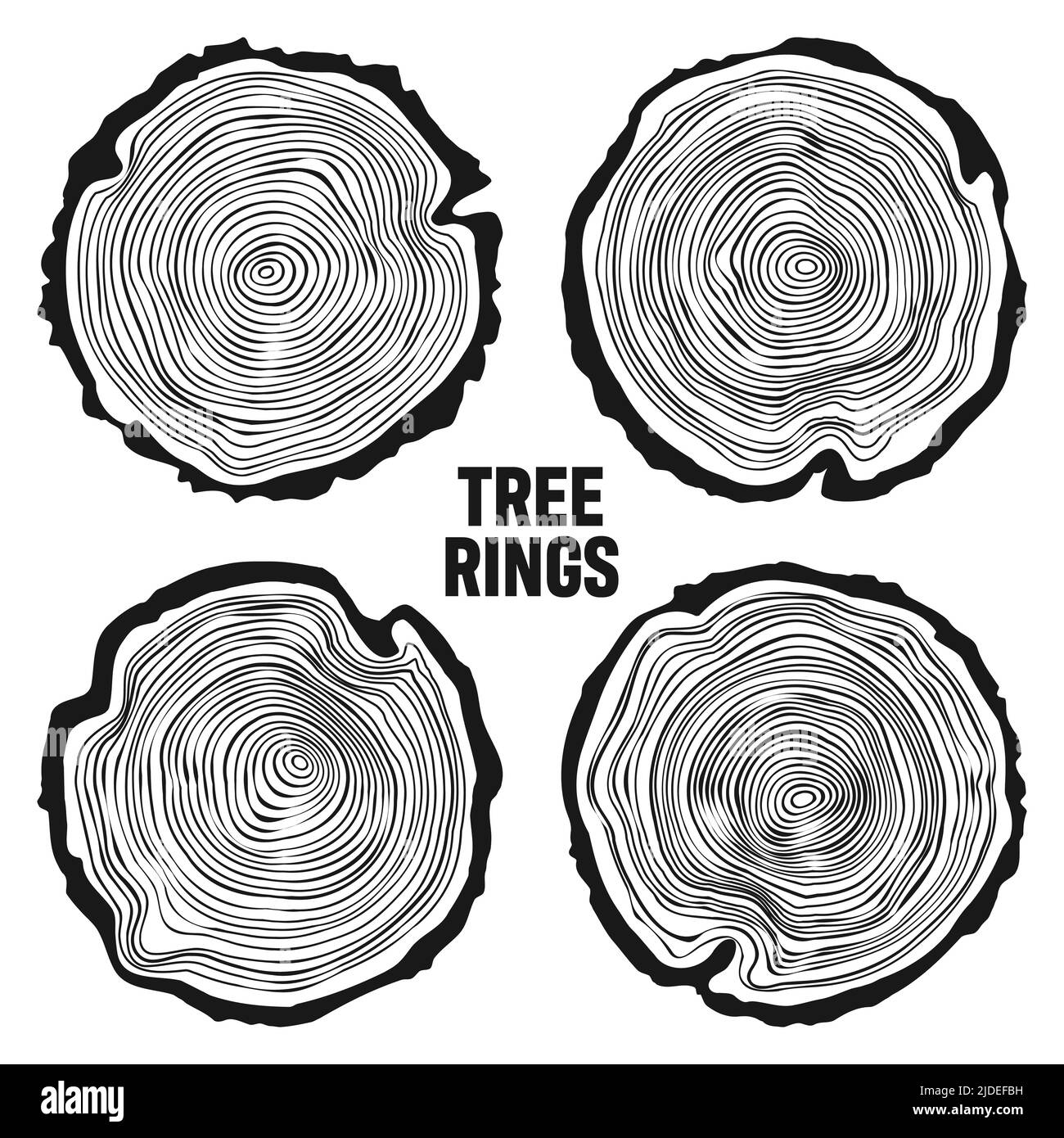 Troncs d'arbre ronds, tranches de pin ou de chêne sciées, bois d'œuvre.Bois scié, bois.Texture en bois avec anneaux.Esquisse dessinée à la main.Illustration vectorielle Illustration de Vecteur