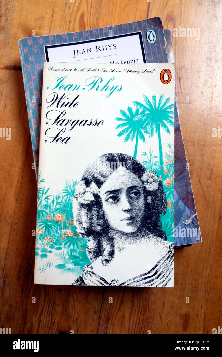 Jean Rhys femme Britannique auteur livre couverture Wide Sargasso Mer KATHY DEWITT Banque D'Images
